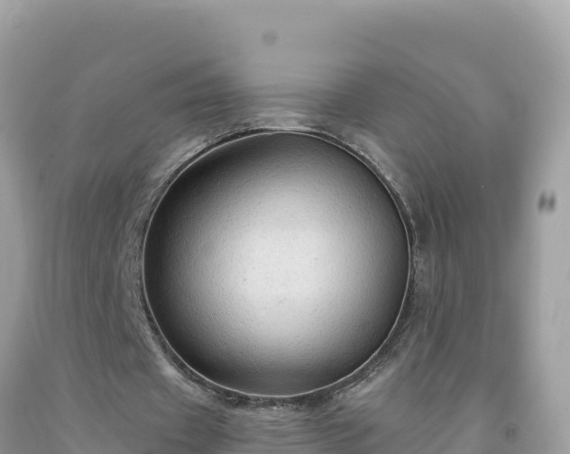 X0000092030433200709131622