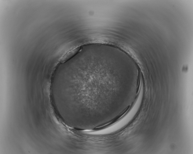 X0000092030434200709131622