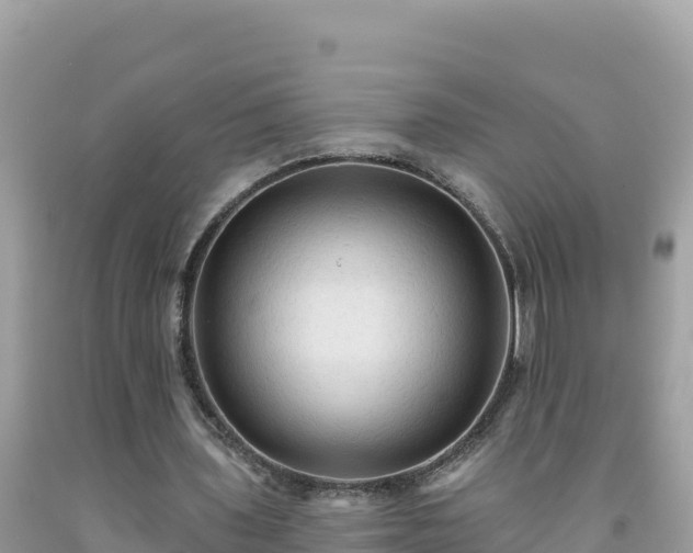 X0000092030435200709131622