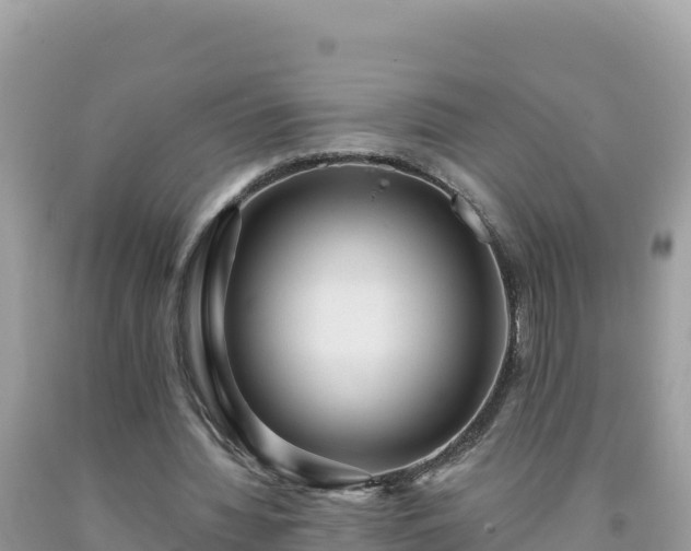 X0000092030436200709131622