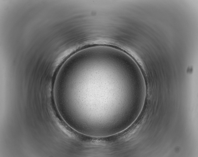 X0000092030437200709131622