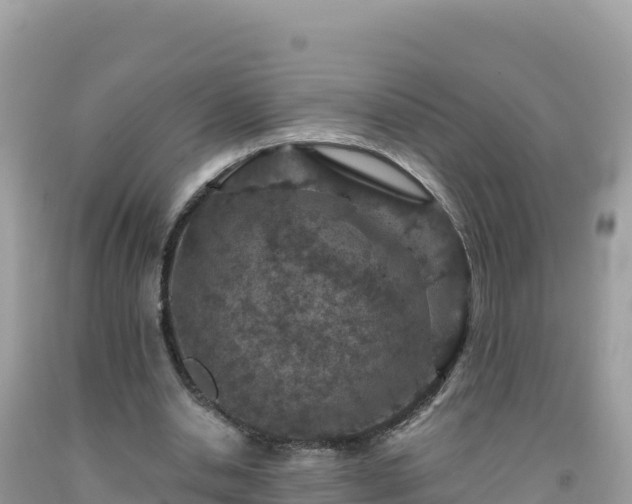 X0000092030438200709131622