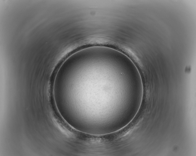 X0000092030439200709131622