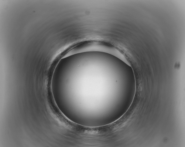 X0000092030440200709131622