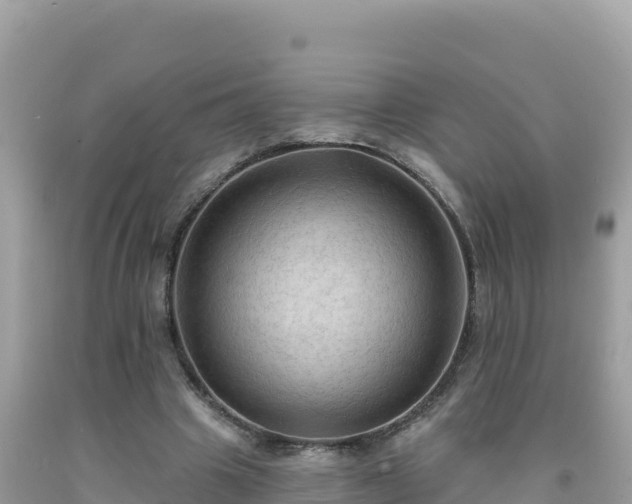 X0000092030441200709131622