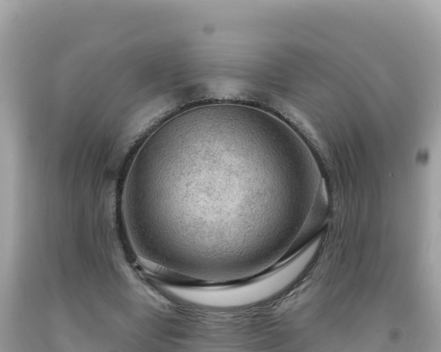 X0000092030442200709131622