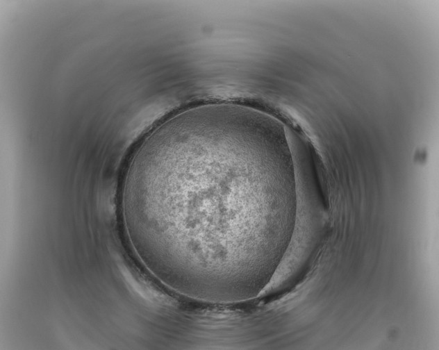 X0000092030443200709131622