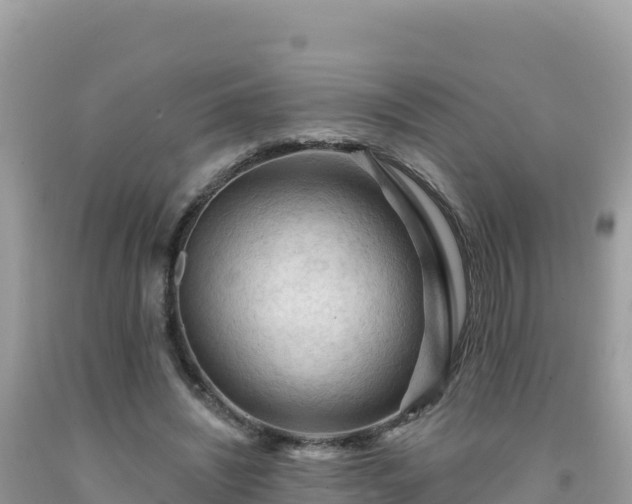 X0000092030444200709131622