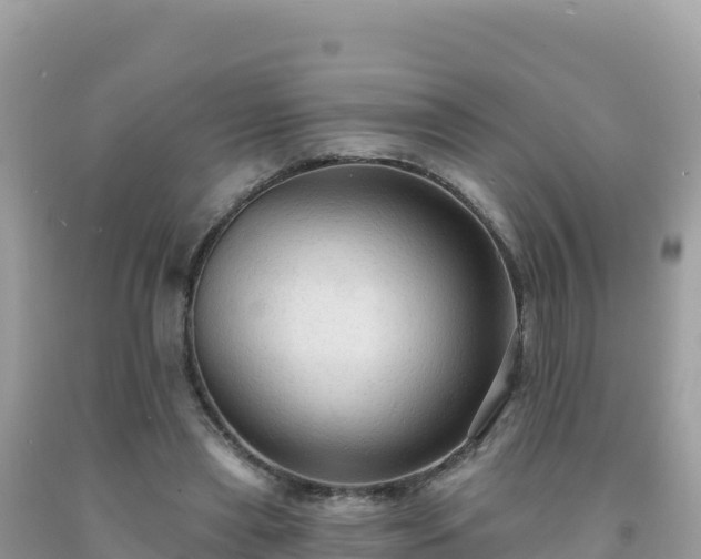 X0000092030445200709131622