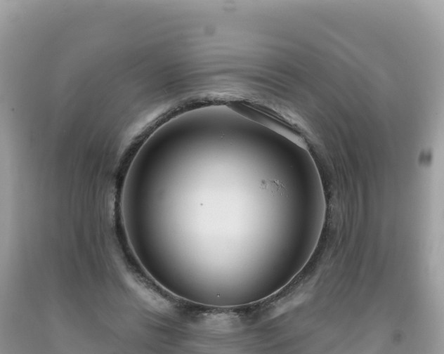 X0000092030446200709131622