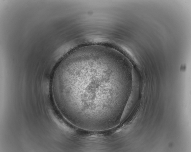 X0000092030447200709131622