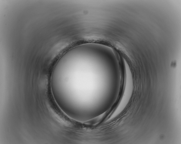 X0000092030448200709131622