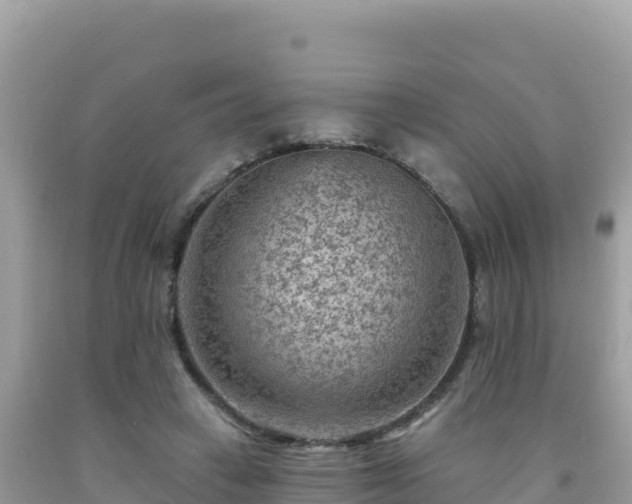 X0000092030449200709131622