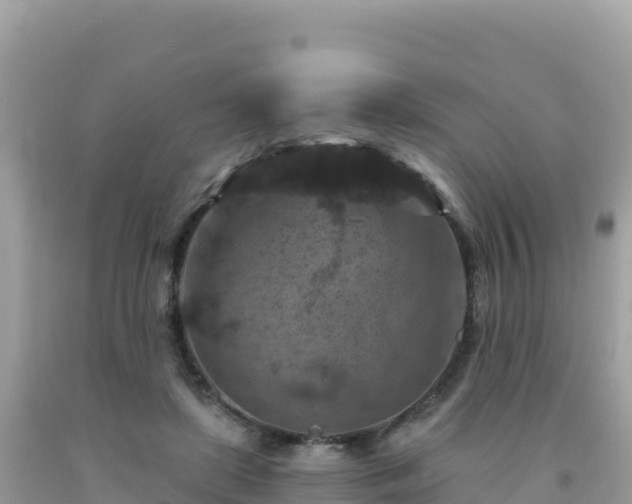 X0000092030451200709131622