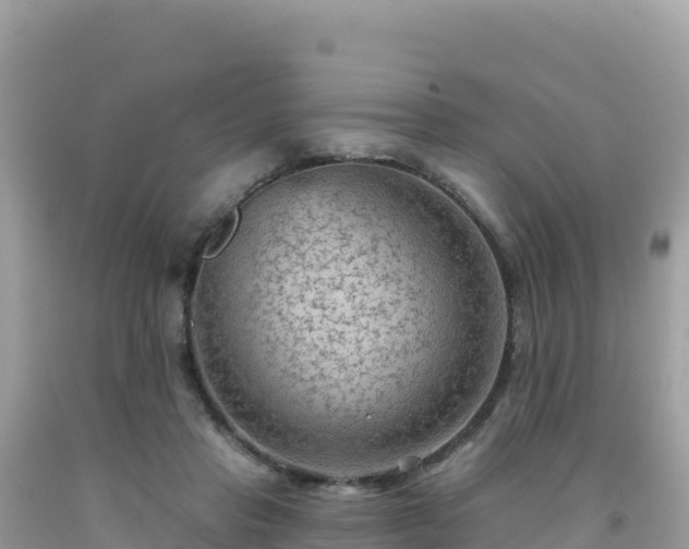 X0000092030453200709131623