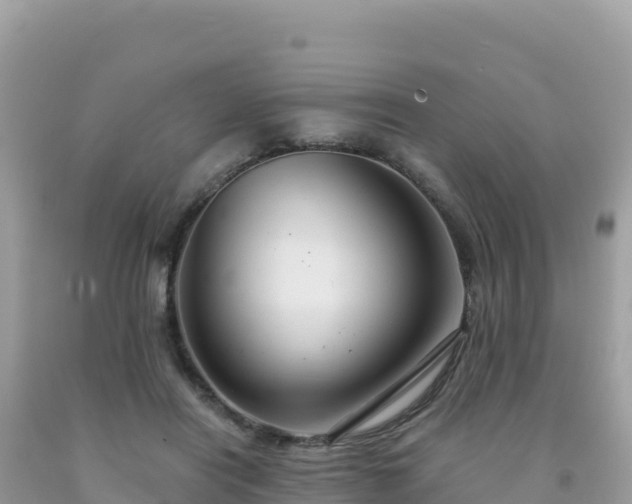 X0000092030454200709131623