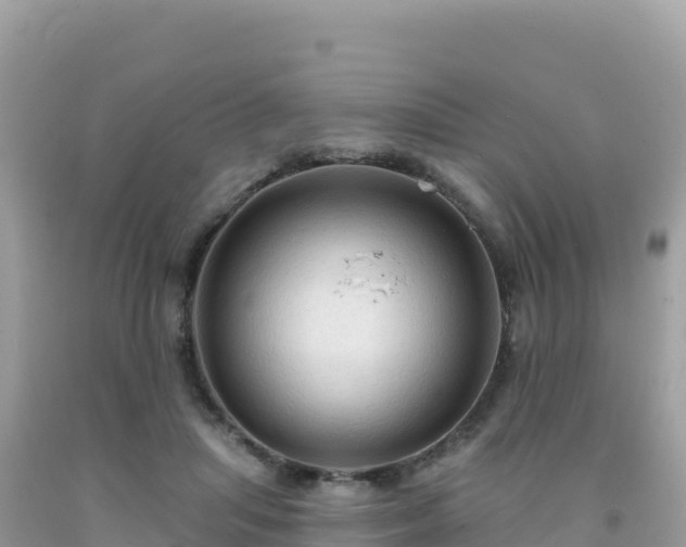 X0000092030455200709131623