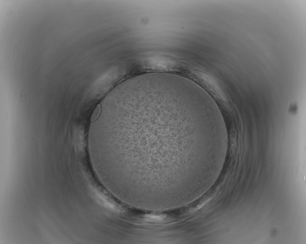 X0000092030457200709131623