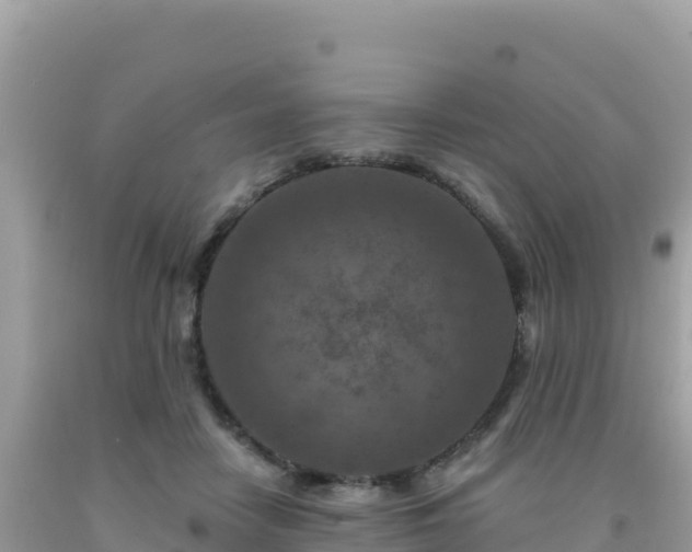 X0000092030458200709131623