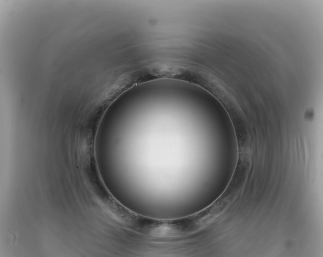 X0000092030460200709131623