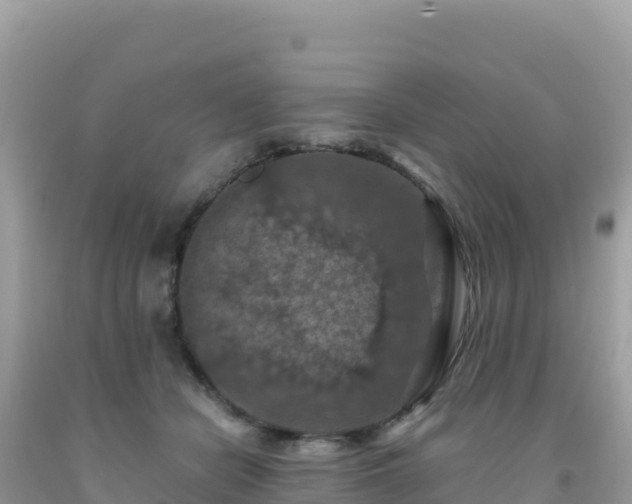 X0000092030462200709131623