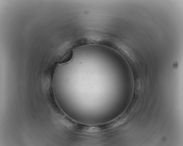 X0000092030463200709131623