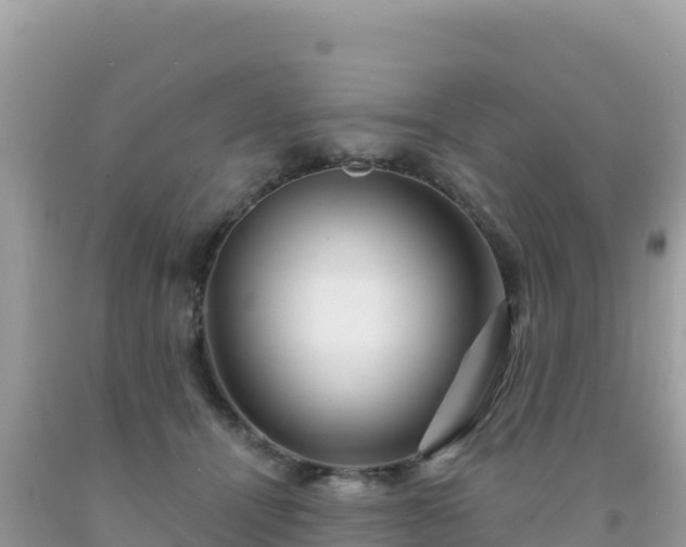 X0000092030464200709131623