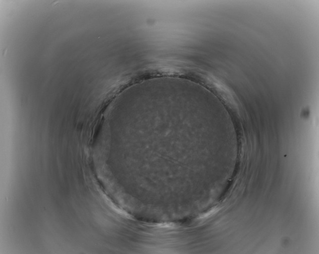 X0000092030465200709131623