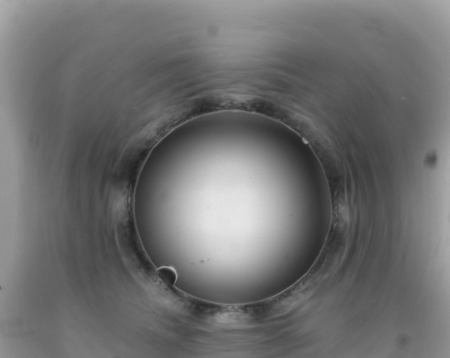 X0000092030468200709131623