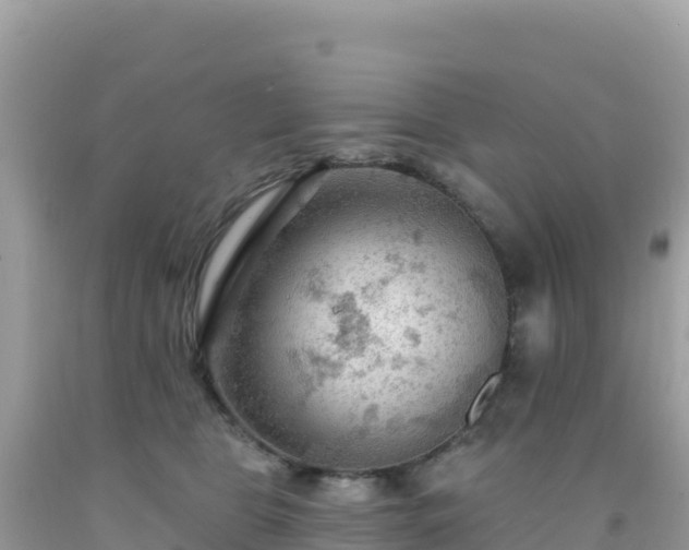 X0000092030469200709131623