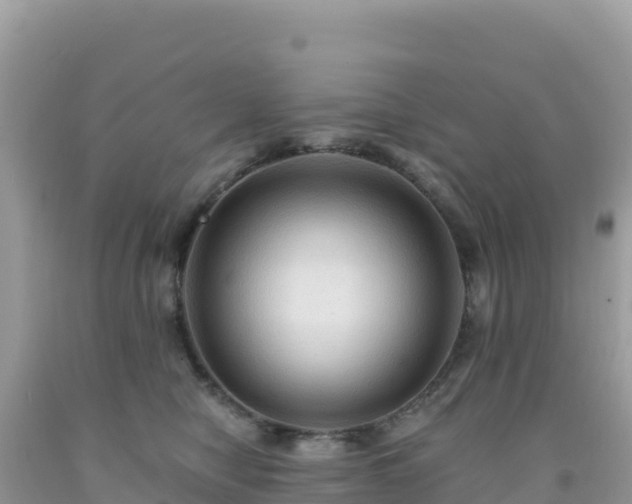 X0000092030470200709131623