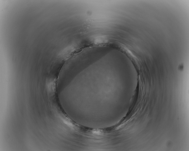 X0000092030475200709131623