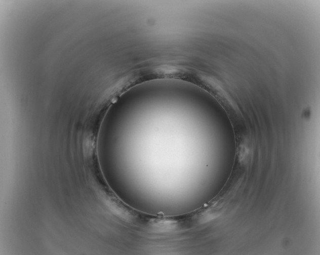 X0000092030476200709131623