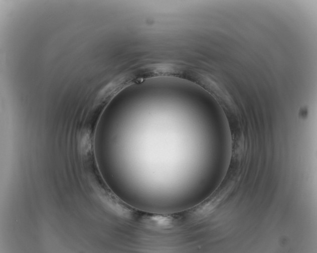 X0000092030478200709131623