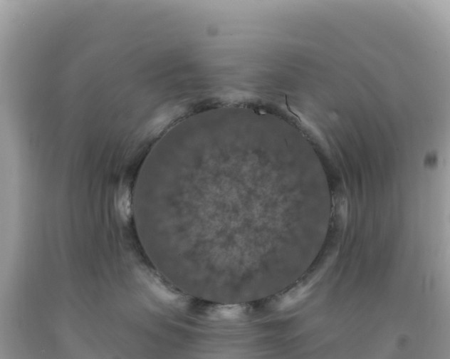 X0000092030479200709131623