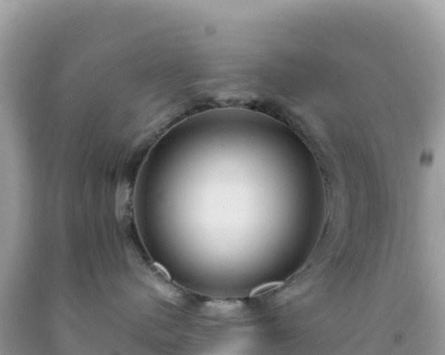 X0000092030480200709131623