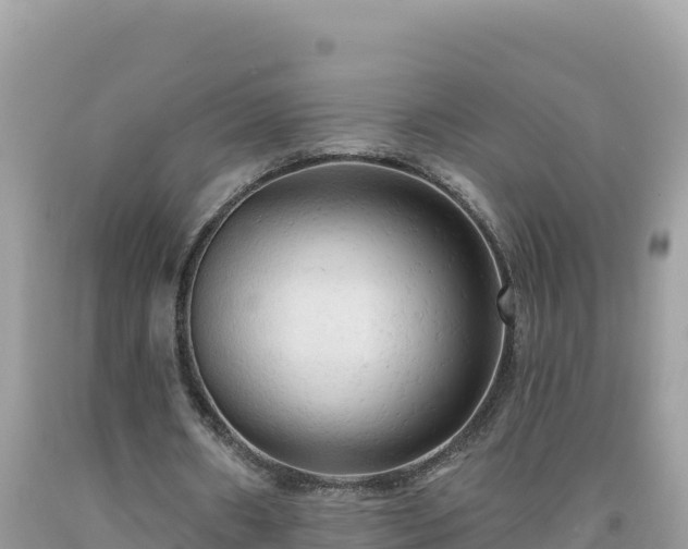 X0000092030482200709131622