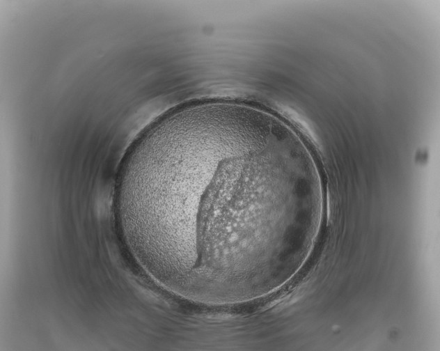 X0000092030483200709131622