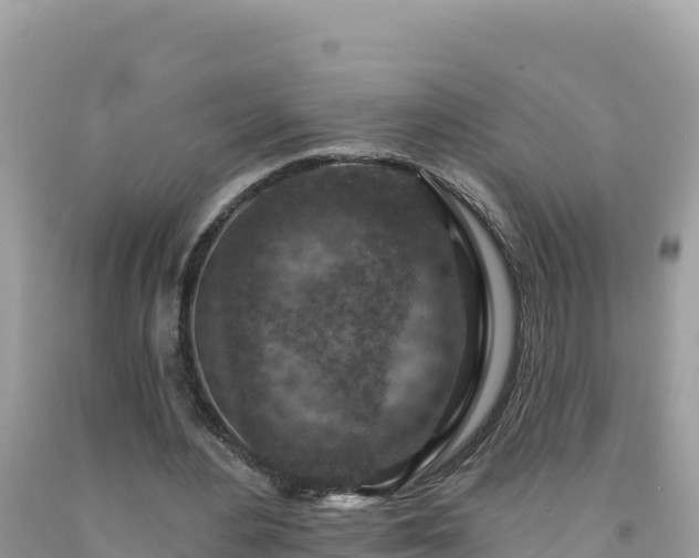 X0000092030484200709131622