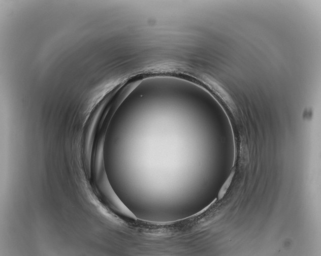 X0000092030485200709131622