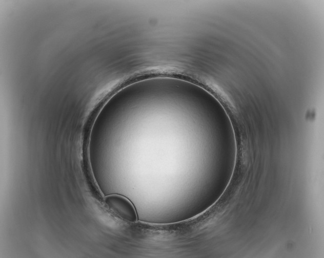 X0000092030486200709131622