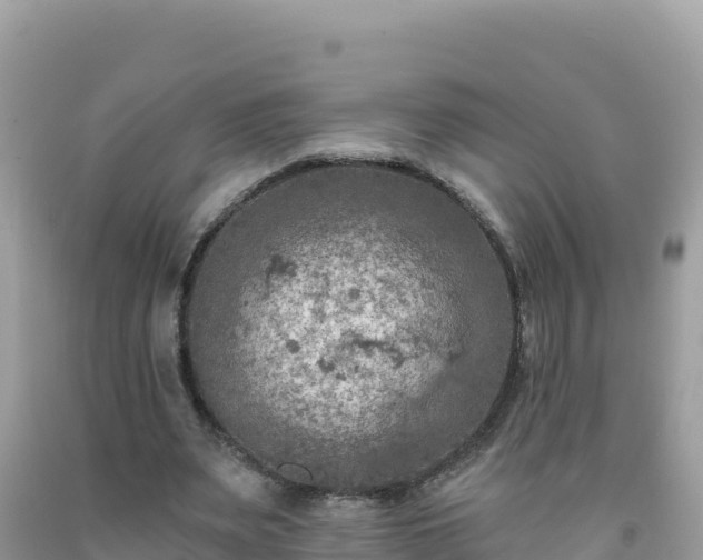 X0000092030487200709131622