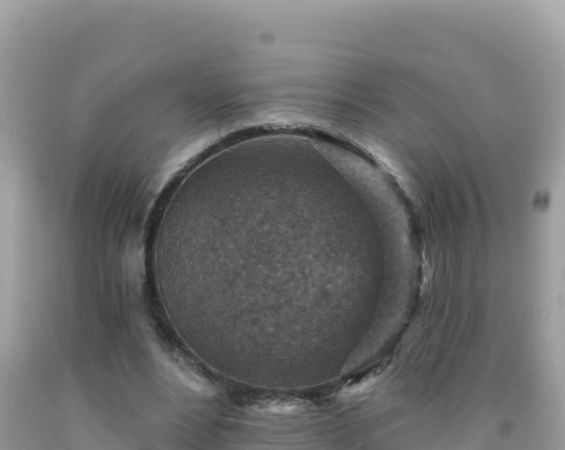 X0000092030488200709131622