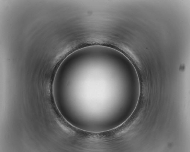 X0000092030489200709131622