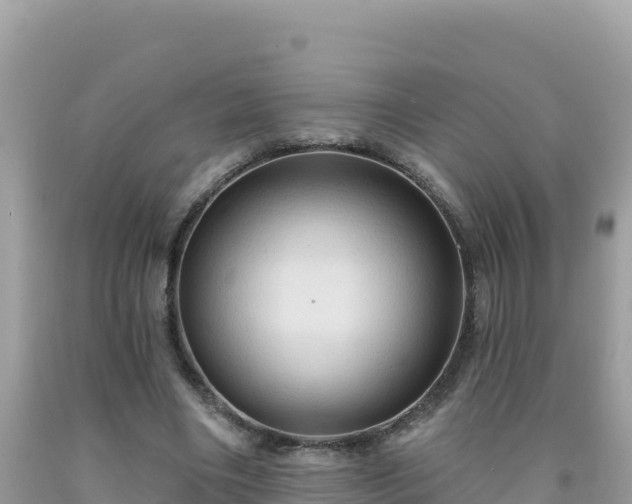 X0000092030490200709131622