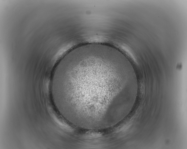 X0000092030491200709131622