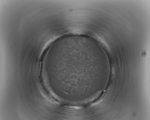 X0000092030492200709131622