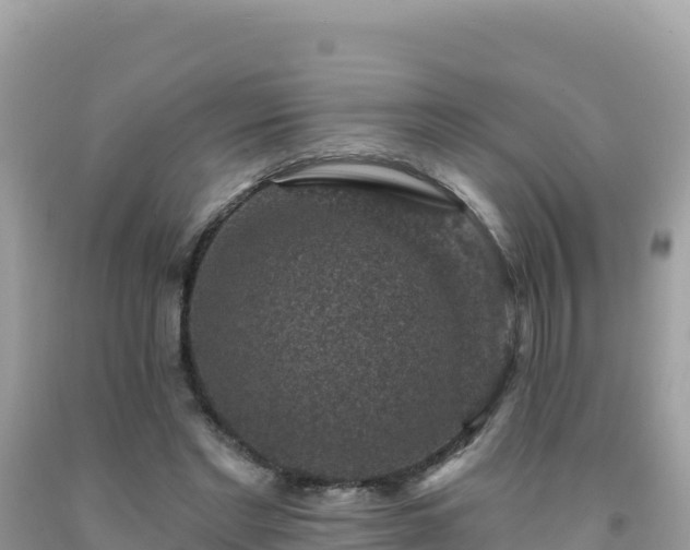 X0000092030493200709131622