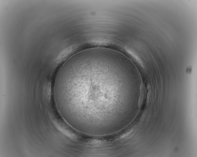 X0000092030494200709131622