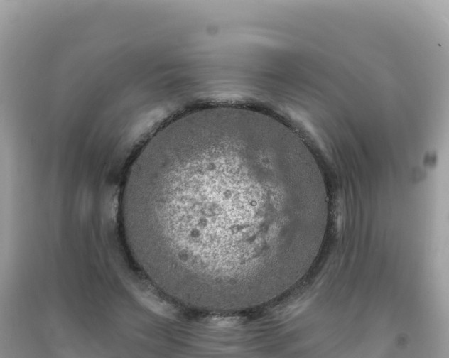 X0000092030495200709131622